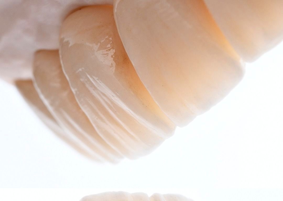 Dental Crowns, Bridges and Dentures at ELEMENTAL Day Surgical Center, Jumeirah 1, Dubai